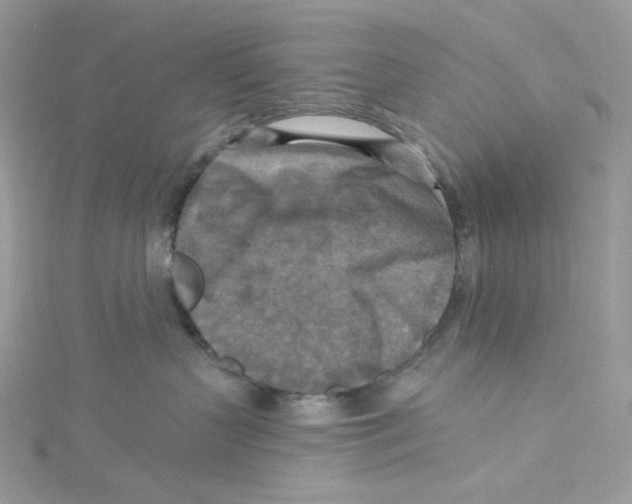 X0000114650383200911171055