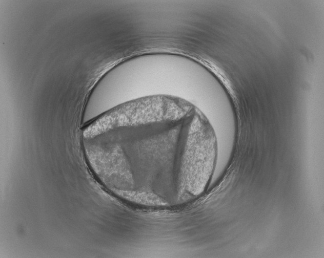 X0000114650385200911171054