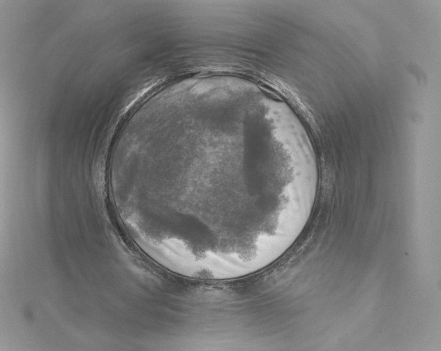 X0000114650386200911171054