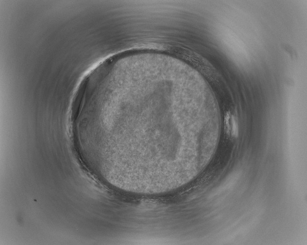 X0000114650388200911171054