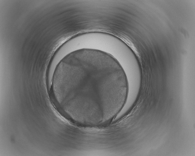 X0000114650389200911171054