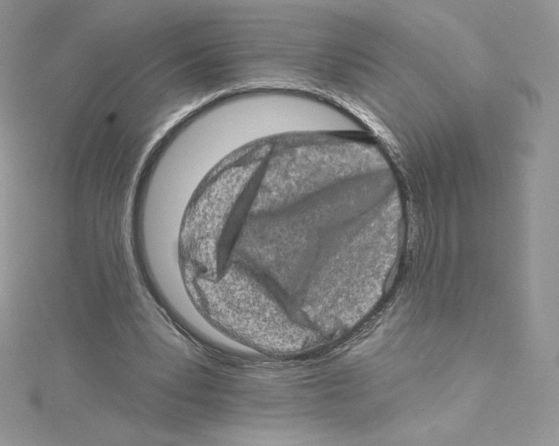 X0000114650391200911171054