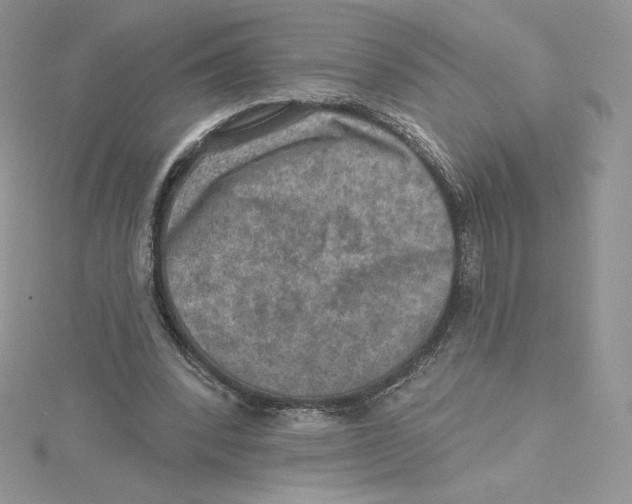 X0000114650392200911171054