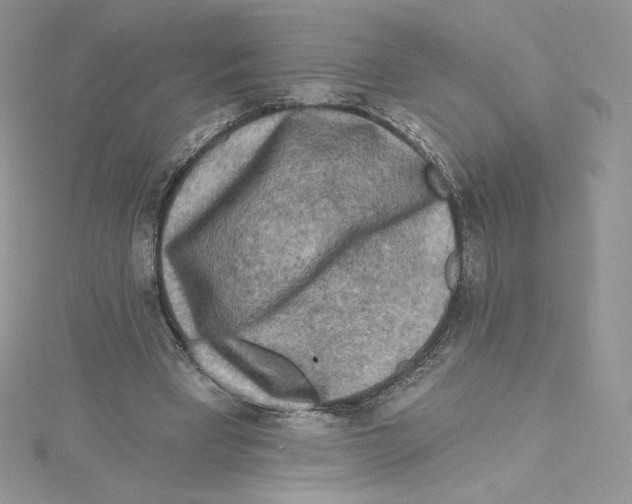 X0000114650393200911171054