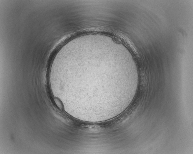 X0000114650395200911171054