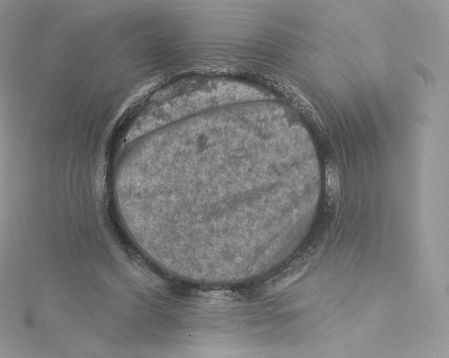 X0000114650396200911171054