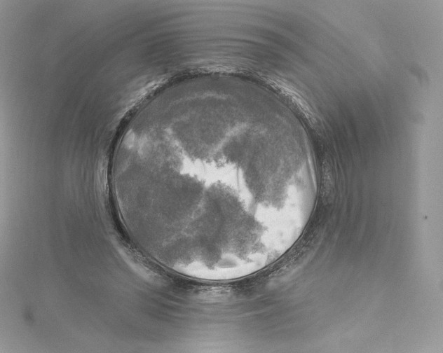 X0000114650398200911171054