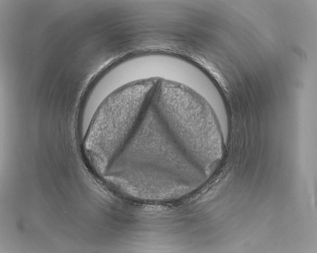 X0000114650399200911171054