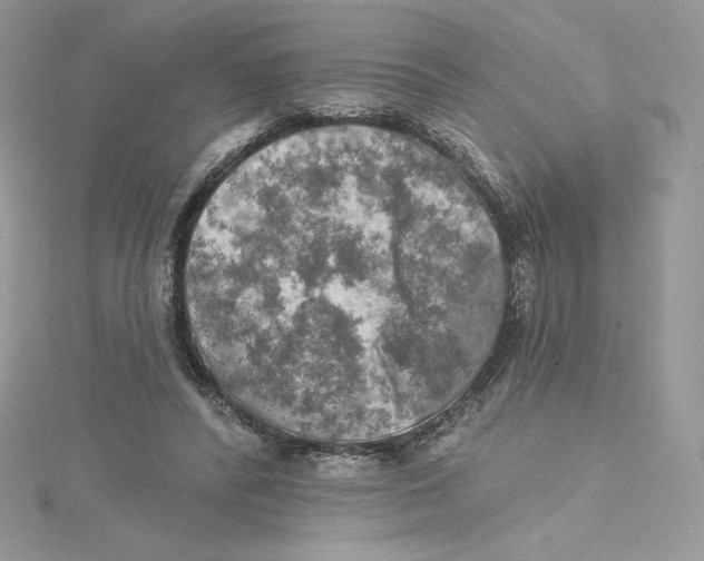 X0000114650400200911171054