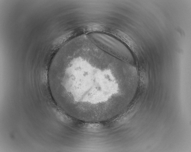 X0000114650401200911171054