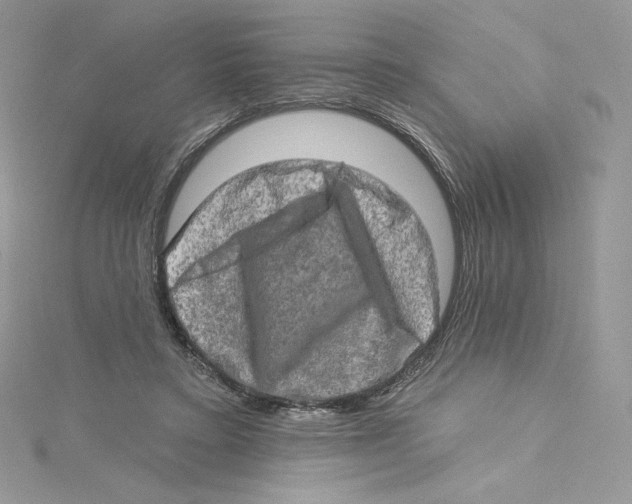 X0000114650403200911171054