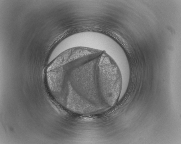 X0000114650405200911171054