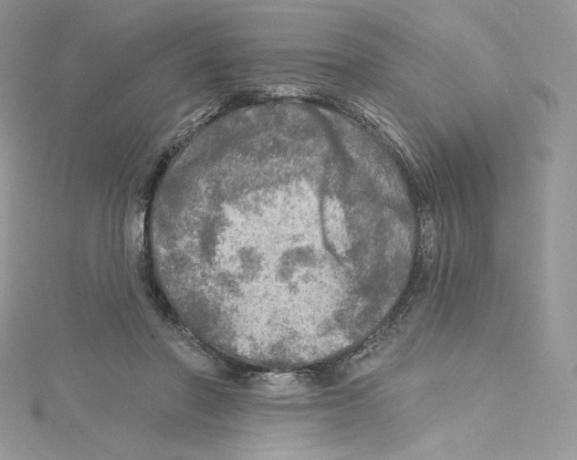 X0000114650406200911171054