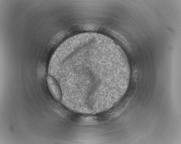 X0000114650407200911171054