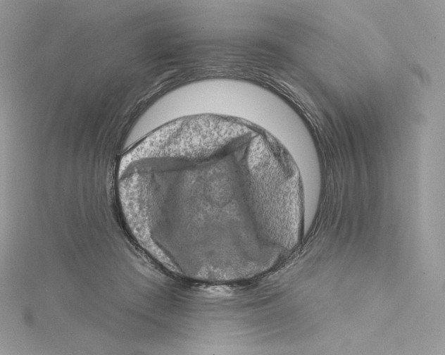 X0000114650409200911171054