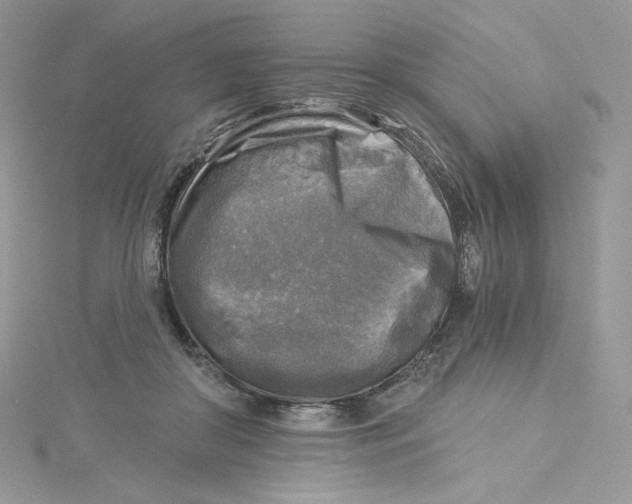 X0000114650410200911171054