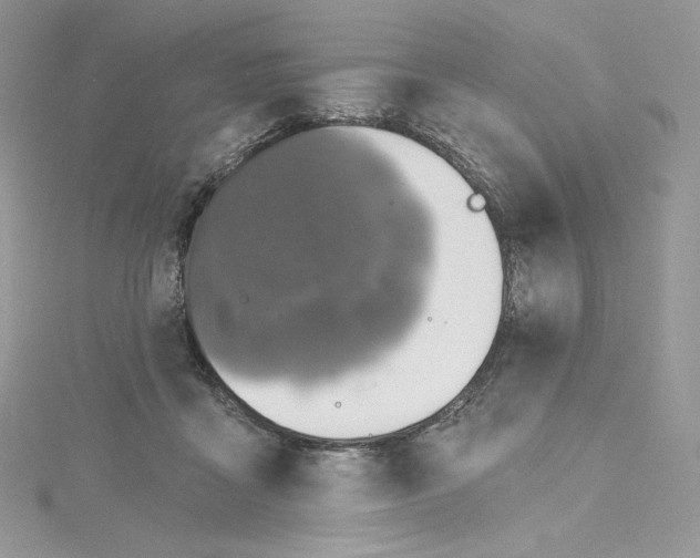 X0000114650411200911171054