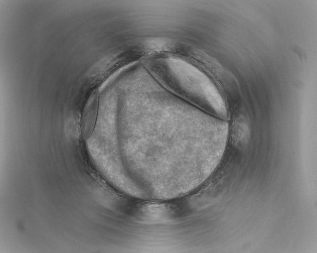 X0000114650413200911171054