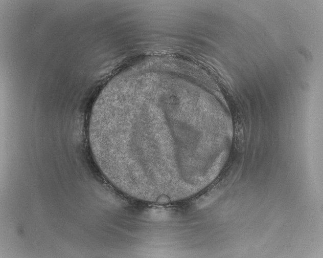 X0000114650416200911171054