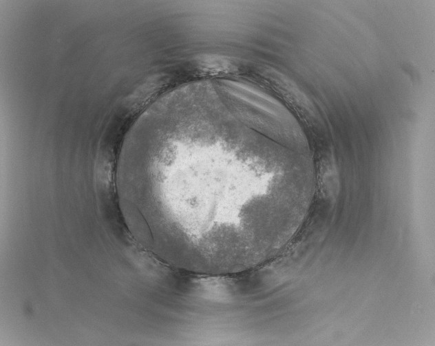 X0000114650417200911171054