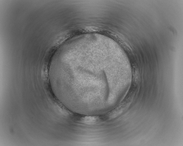 X0000114650418200911171054