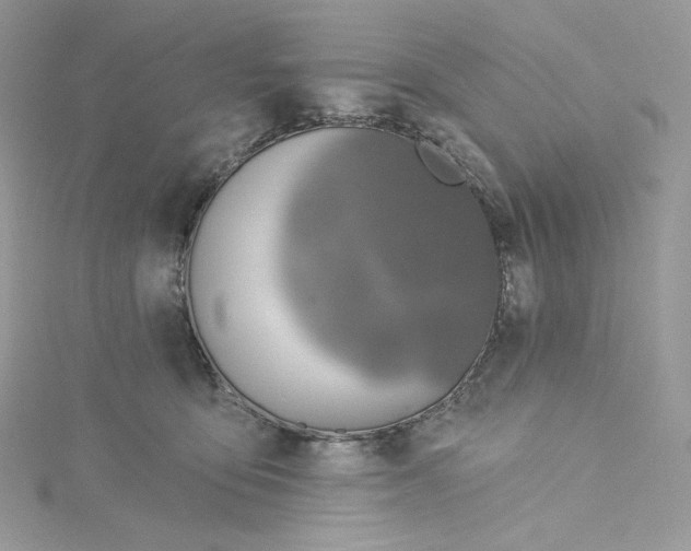 X0000114650419200911171054