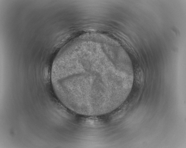 X0000114650420200911171054