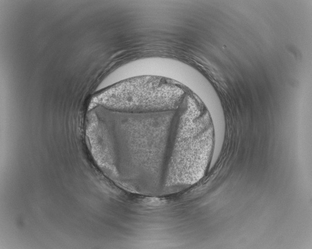 X0000114650421200911171054