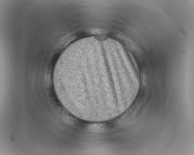 X0000114650422200911171054