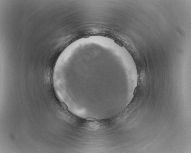 X0000114650423200911171054