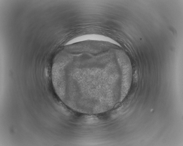 X0000114650424200911171054