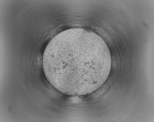 X0000114650425200911171054