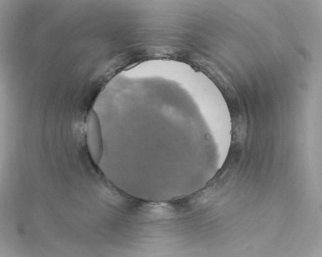 X0000114650427200911171054