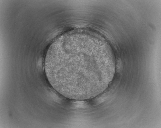 X0000114650428200911171054