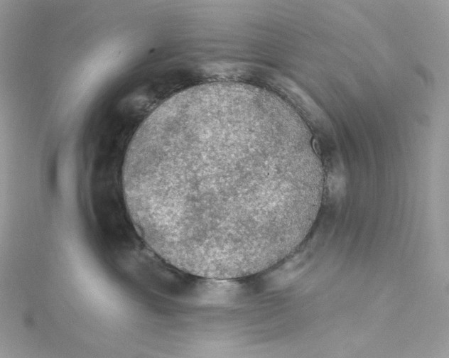 X0000114650429200911171054