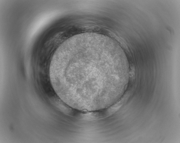 X0000114650430200911171054