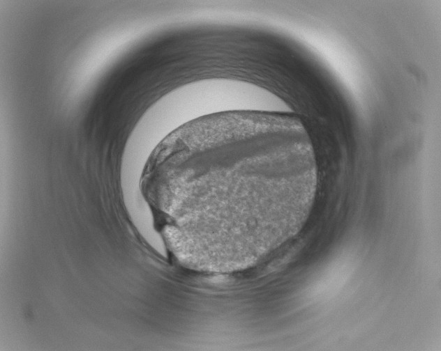 X0000114650431200911171054