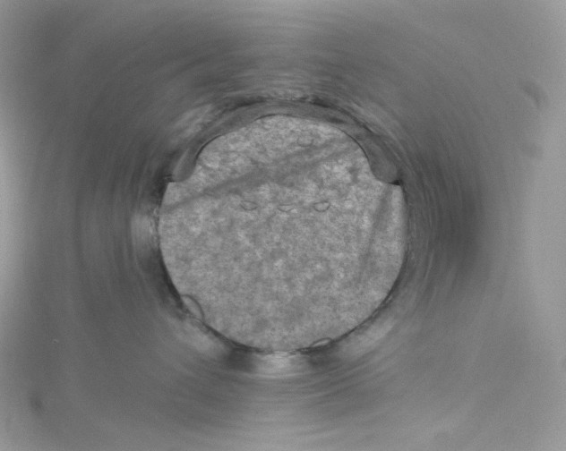 X0000114650432200911171054