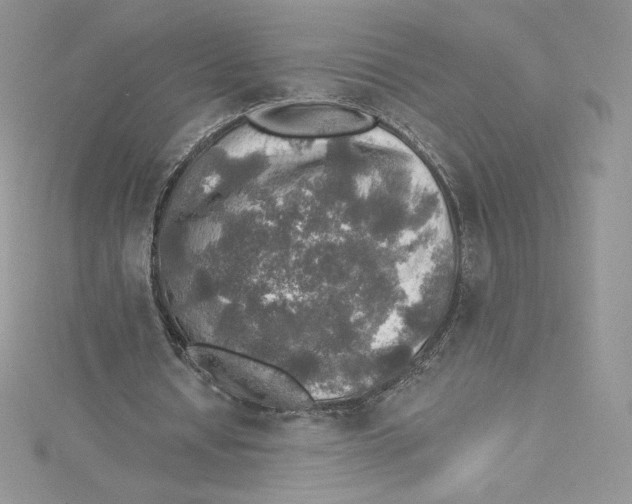 X0000114650434200911171053