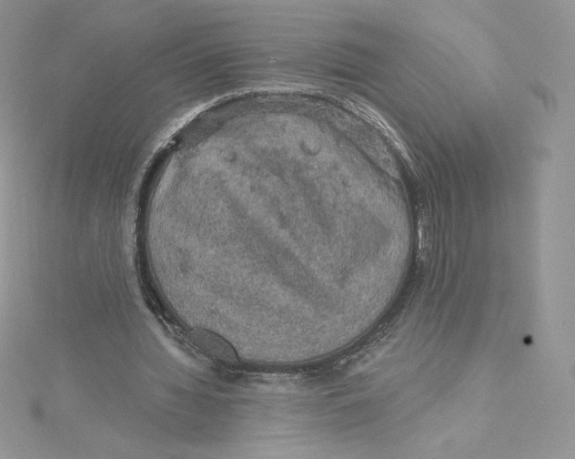 X0000114650436200911171053