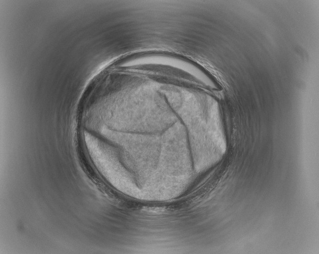 X0000114650440200911171053