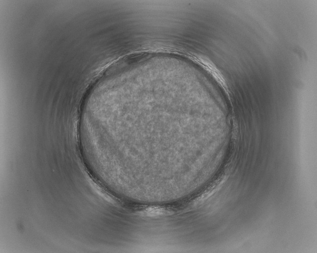 X0000114650441200911171053