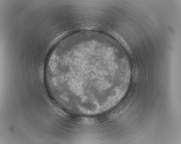 X0000114650442200911171053