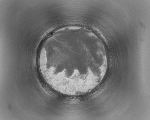 X0000114650443200911171053