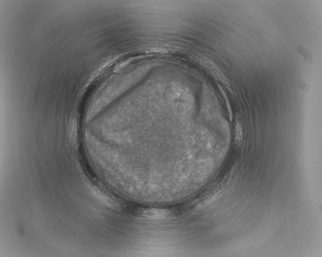 X0000114650444200911171053