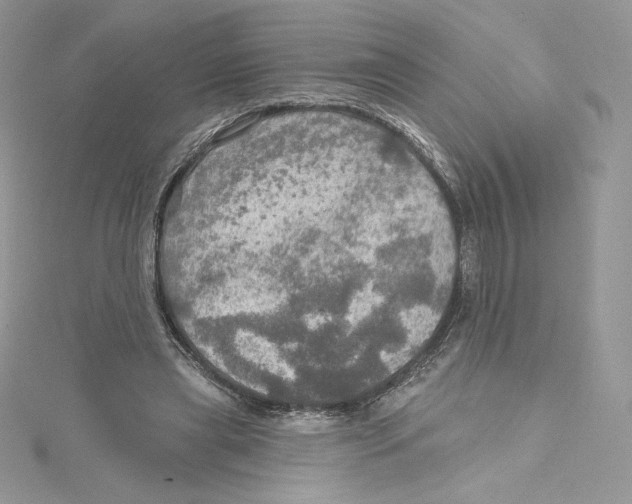 X0000114650445200911171053