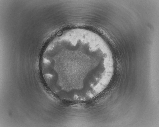 X0000114650447200911171053