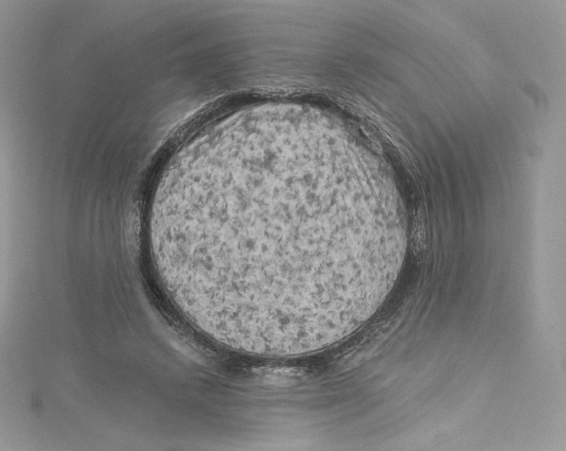 X0000114650448200911171053