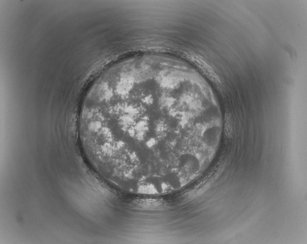 X0000114650449200911171053