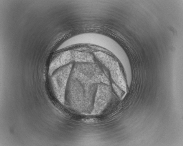 X0000114650452200911171053